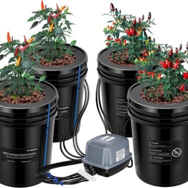 VIVOSUN DWC Hydroponics Grow System: Indoor Gardening